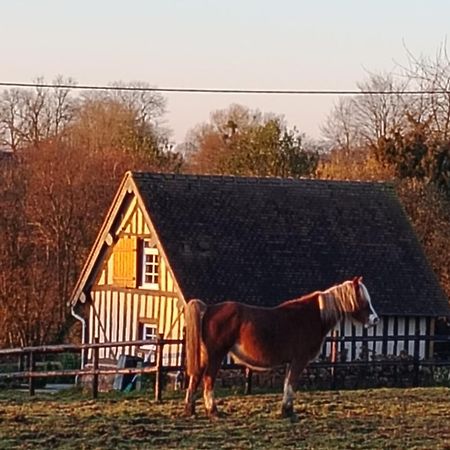 Gite A La Petite Bretonniere Saint-Pierre-Des-Ifs  Kültér fotó